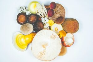 A collection of mushrooms that may aid in brain health.