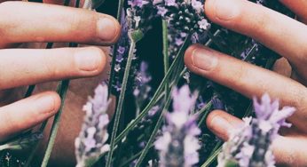 Cultivating Rational Wellness