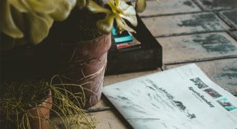 CBD News Update: September Edition