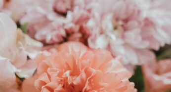 Motherhood and Carnations